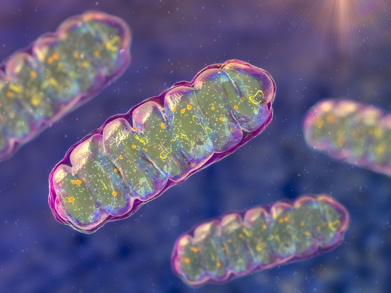 日経バイオテクONLINE：総合トップ