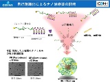 遺伝子発現量に応じた薬剤の使い分け、iCONMが機能性ナノカプセルで実現