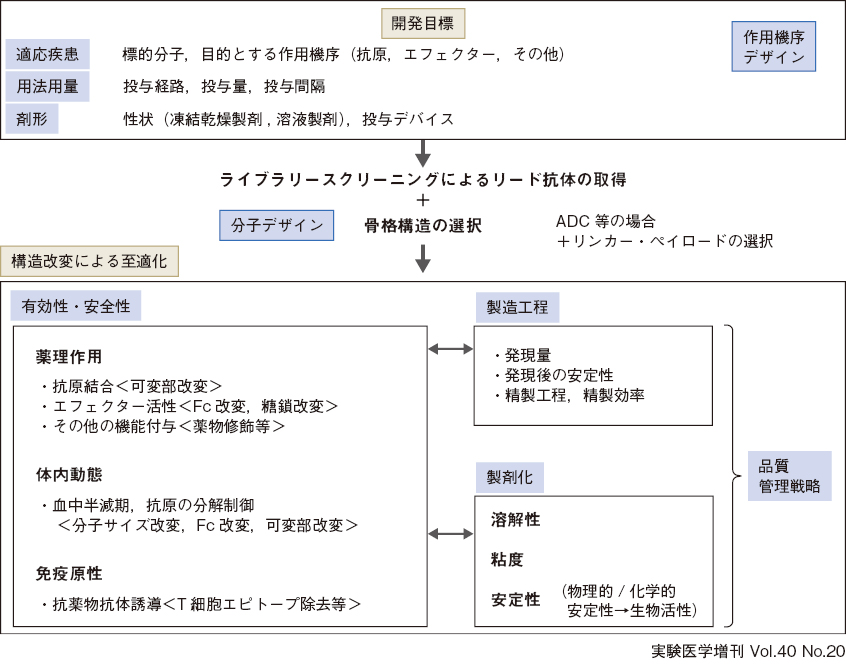 抗体医薬品に関するレギュラトリーサイエンス：日経バイオテクONLINE