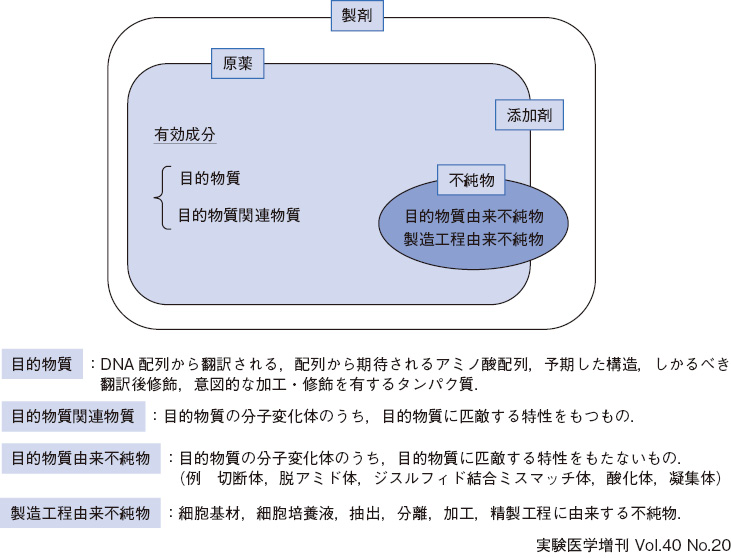 抗体医薬品に関するレギュラトリーサイエンス：日経バイオテクONLINE