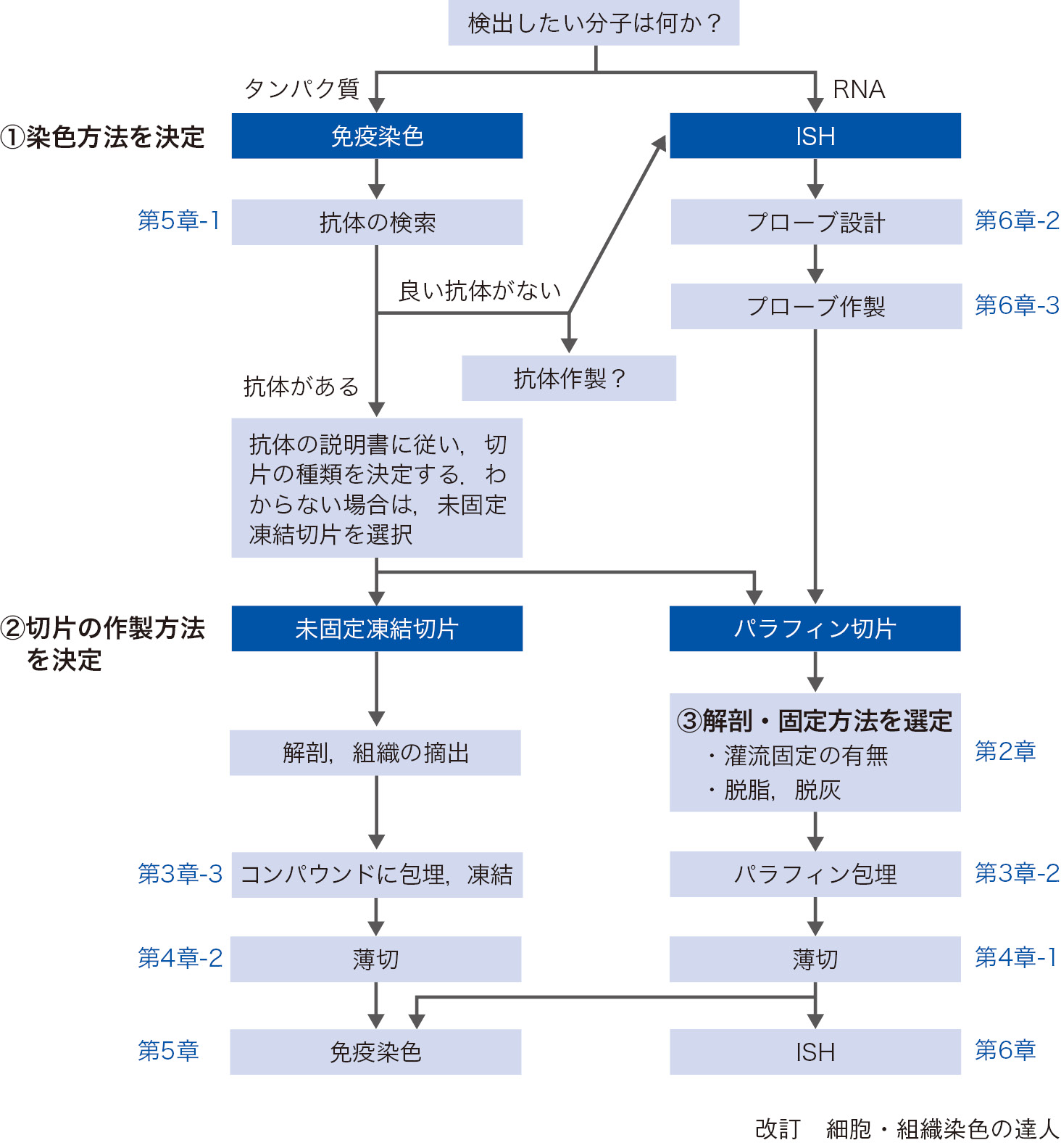序章 染色をはじめる前に考えること：日経バイオテクONLINE