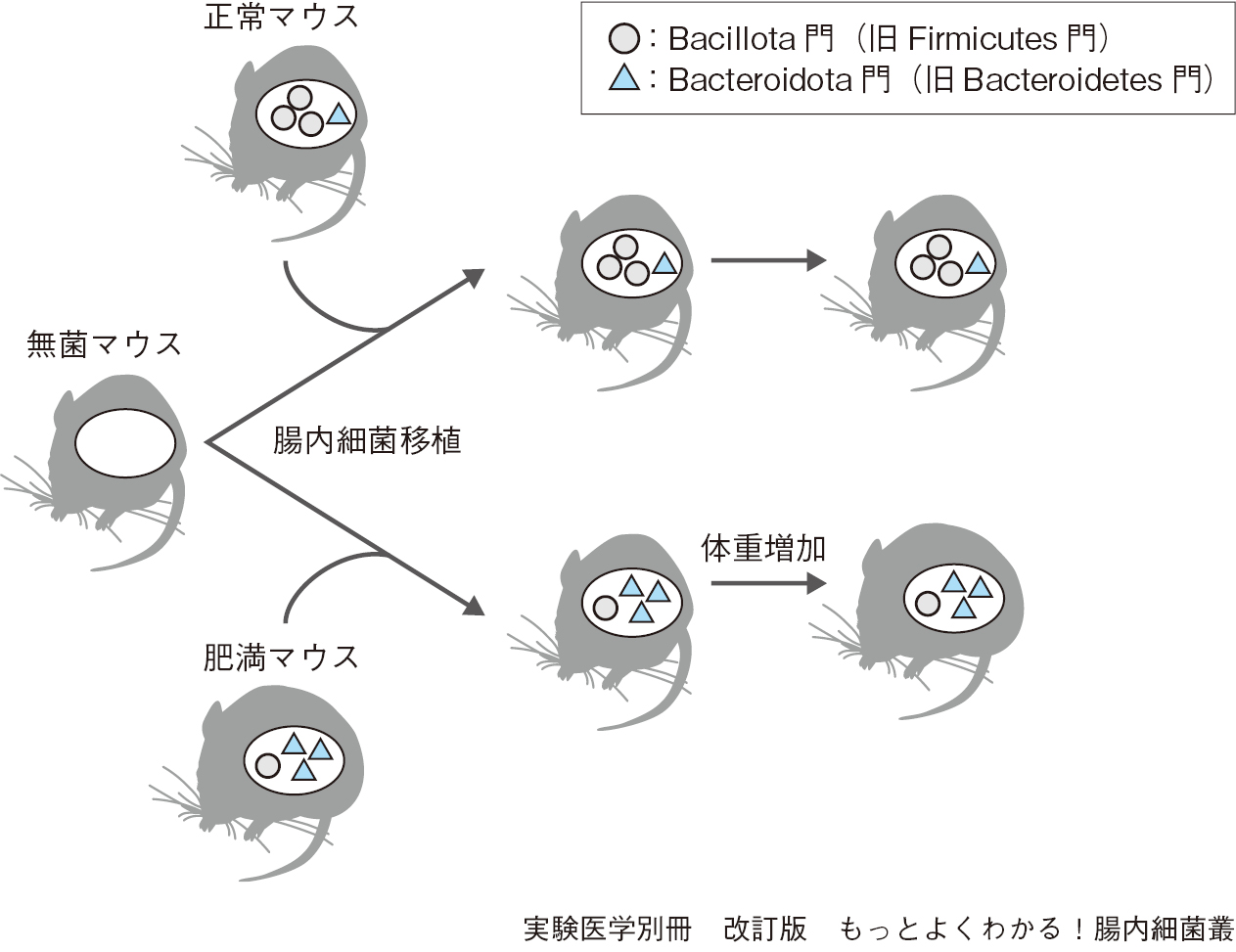 腸内細菌・口腔細菌と全身疾患 (バイオテクノロジー)-