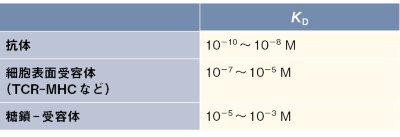 表1 生体を制御するタンパク質のリガンド認識の強さ