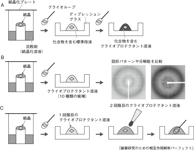 X線結晶構造解析の流れとポイント コツ 日経バイオテクonline X線結晶構造解析の流れとポイント コツ 日経バイオテクonline