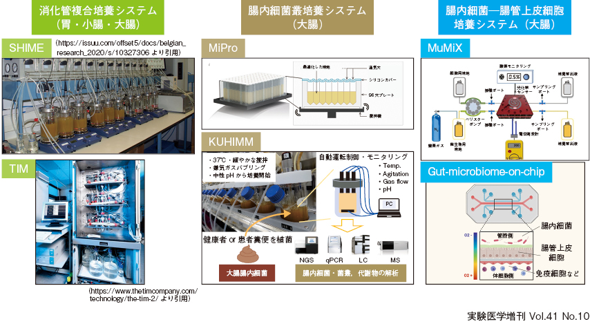 精密栄養学を支える基盤技術：食の評価（in vitro腸内細菌培養システム