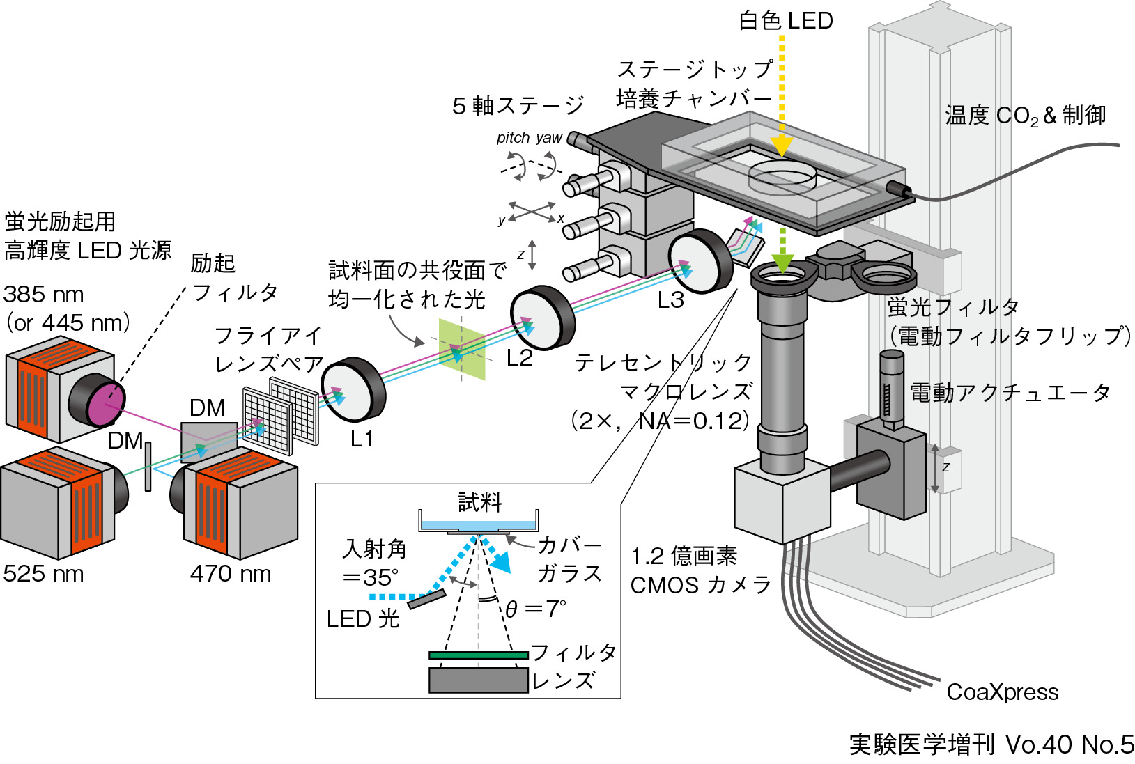100万以上の細胞をミクロンレベルの空間分解能でワンショット観察可能