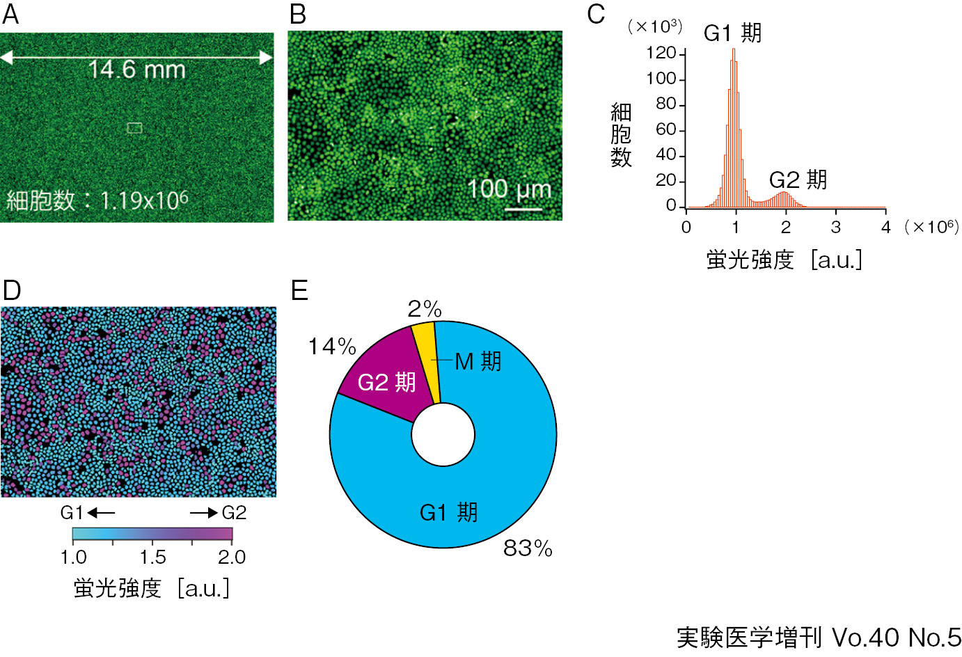 100万以上の細胞をミクロンレベルの空間分解能でワンショット