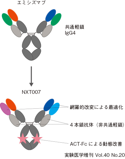 二重特異性抗体の創製と開発：日経バイオテクONLINE