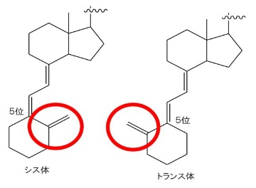 均等論と拡大の遺伝子