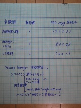 駆け出し研究者時代