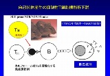 敗れたNature誌への挑戦