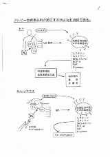 カルフェニールが生んだ3つのイノベーション