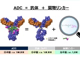 エンハーツ開発秘話3─常識破りのリンカー技術