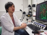 “若き天才”、横浜市立大の武部准教授が米国で研究室を立ち上げへ