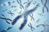 熊本大学など、膵臓癌の早期発見につながるバイオマーカーを発見
