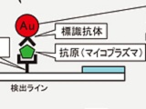 富士フイルム、銀塩増幅技術でマイコプラズマ抗原を検出