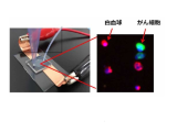アークレイ、血中循環腫瘍細胞を分離濃縮し遺伝子解析する実験系を開発