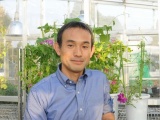 基生研、慶大、九大、遺伝研、アサガオの全ゲノムを解読