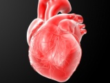 心臓サポートネット開発するiCorNet研究所、ニッセイから1.5億円を調達