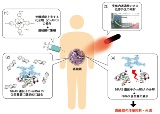 分子クラウディング
