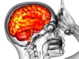 帝人とJCR、歯髄幹細胞のフェーズI/IIで急性期脳梗塞患者に投与開始