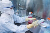 世界の医薬品開発製造受託機関、遺伝子治療の製造施設への投資を拡大中