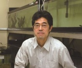 遺伝研など、DHA合成能を強化して魚は海水から淡水に進出