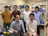 熊本大勝田氏ら、遺伝子発現制御する核酸医薬の新規モダリティ開発中