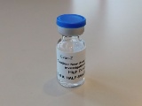 東大医科研、エボラワクチンの安全性などを確認する臨床研究を開始