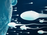 AIで良好な「精子」を見抜け、不妊治療の需要が増え技術開発の競争が勃発