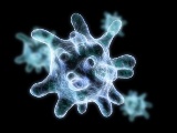 米Carisma社ら、CAR導入マクロファージ療法が固形がんに有望