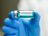Oxford大学とNIAID、新型コロナのワクチン候補がアカゲザルの感染を予防