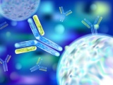 米Vir社、新型コロナに対する抗体医薬の創薬研究成果を公表