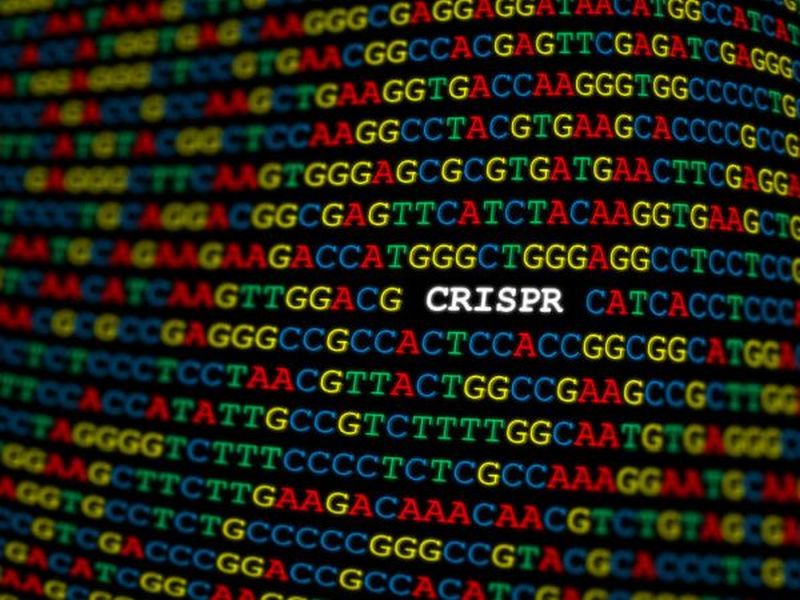 米Mammoth社と英GSK社、CRISPR技術用いた新型コロナの迅速診断検査を共同開発