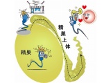 大阪大とBaylor医科大、精子の成熟を制御する仕組みをScience誌にて発表
