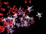慶應大、難治性潰瘍を対象に他家脂肪細胞由来の血小板の臨床研究を開始へ