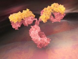 米Lassen社、線維症とがんに対する抗IL-11受容体抗体の開発加速