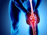 ステムリム、変形性膝関節症に再生誘導医薬の医師主導治験開始へ