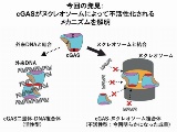 創薬標的同一分子のクライオ電顕成果5報が同日発表、Nature誌3報とScience誌2報