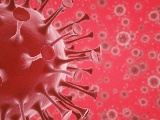 米研究者、新型コロナの臓器障害に補体D因子阻害薬が有用か