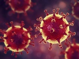 リボミック、新型コロナ向けアプタマーは偽型ウイルスで有効性を確認