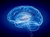 NIH、脳研究イニシアチブに5億ドルを追加投資