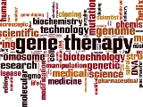 米LEXEO Therapeutics社がシリーズAで8500万ドルを調達