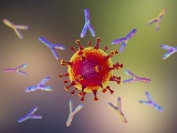 Lilly社、介護施設で実施したSARS-CoV-2抗体医薬の第3相で発症リスクを8割減