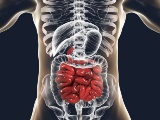 米Guardant Health社、大腸がん患者向けのリキッドバイオプシー検査を発売
