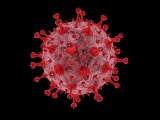米Columbia大学など、感染予防効果を持つSARS-CoV-2融合阻害リポペプチドを開発