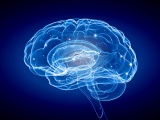 米Cognito社、デジタル医療機器がアルツハイマー病の第2相で脳機能改善