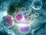 米研究者、EZH2を阻害して前立腺がんの免疫療法を増強