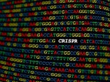 米Vertex社とスイスCRISPR社、異常ヘモグロビン症のゲノム編集療法で契約改定