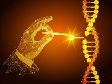 米UCSFなど、CRISPRベースのエピジェネティックエディターを開発
